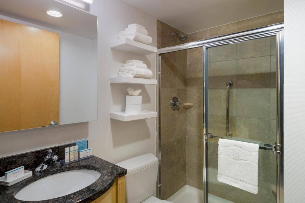 Hampton Inn Times Square South