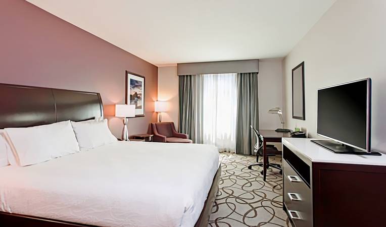 Hilton Garden Inn Irvine/Orange County Airport