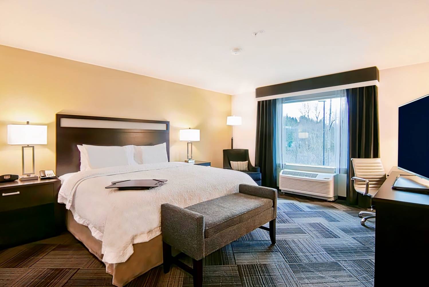 Hampton Inn & Suites by Hilton Bellevue Downtown