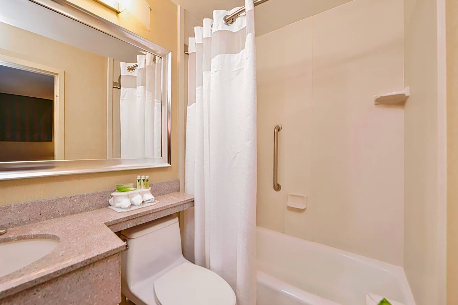 Holiday Inn Express New York JFK Airport Area