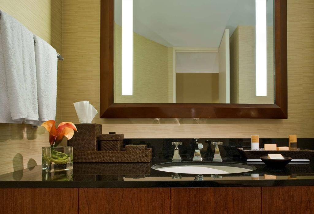 Hyatt Regency Dulles (doublon)