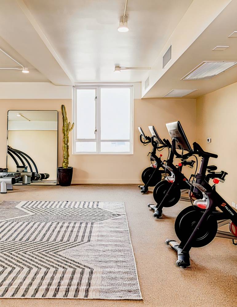 Hotel June Los Angeles, Playa del Rey : -50% during the day ...