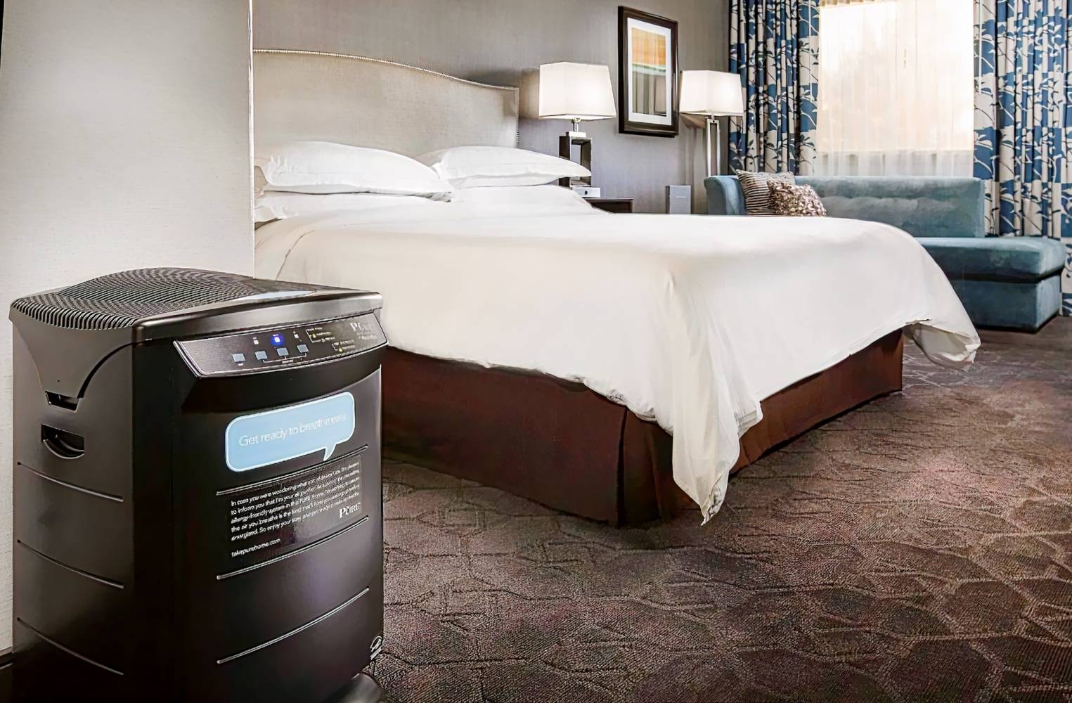 Hilton Concord