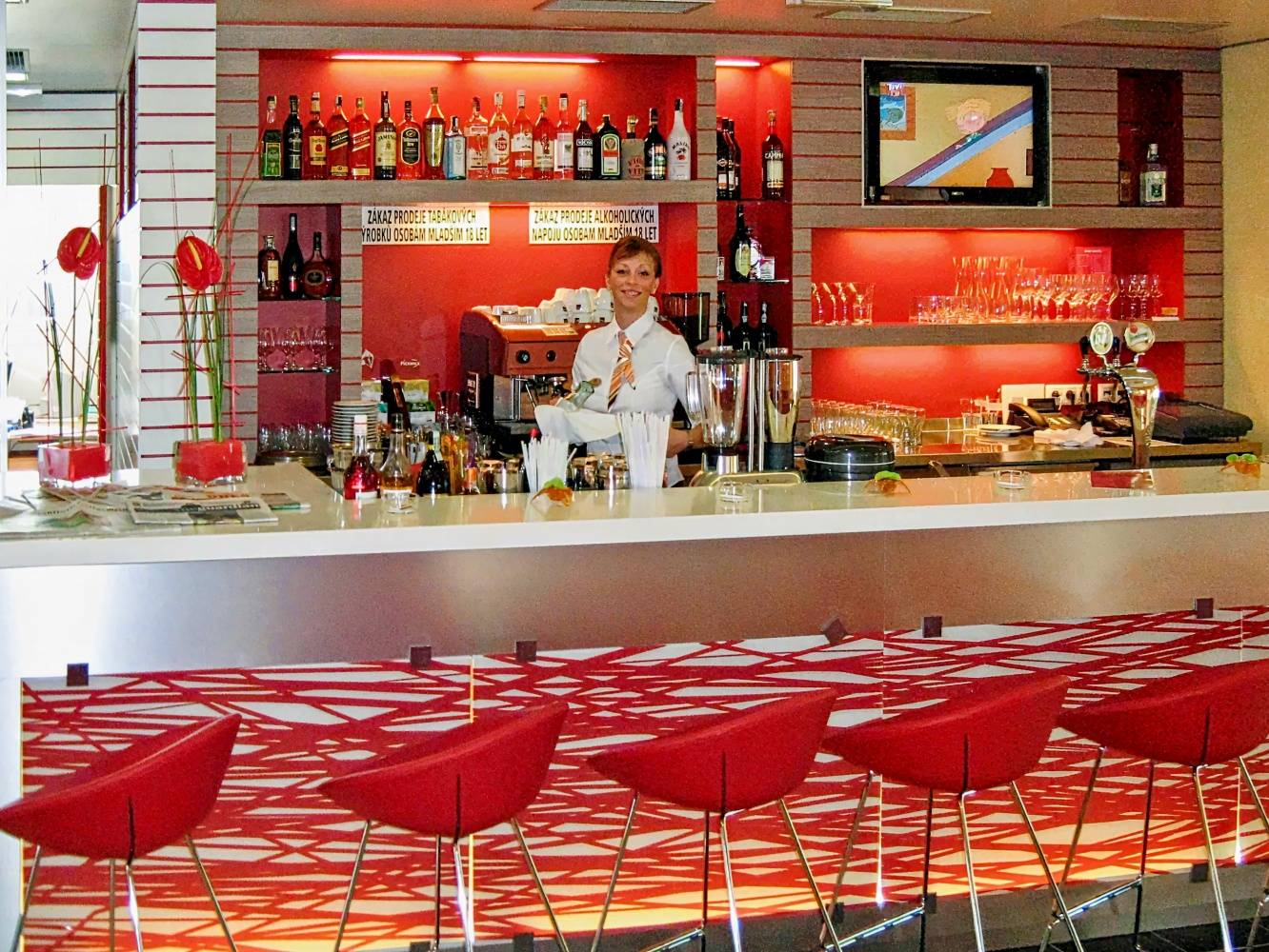 ibis Plzen