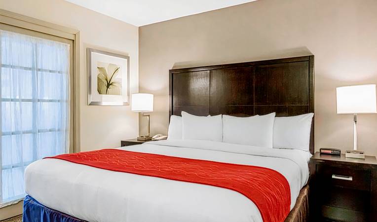 Comfort Inn & Suites San Diego - Zoo SeaWorld Area
