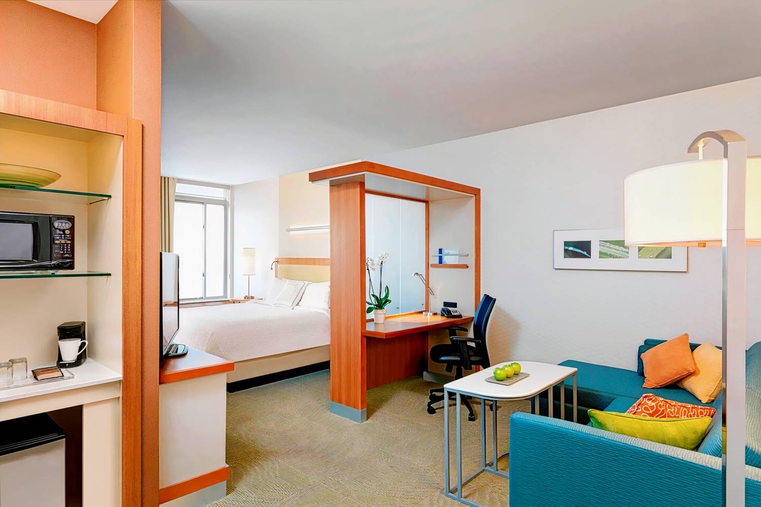 SpringHill Suites Houston I-45 North