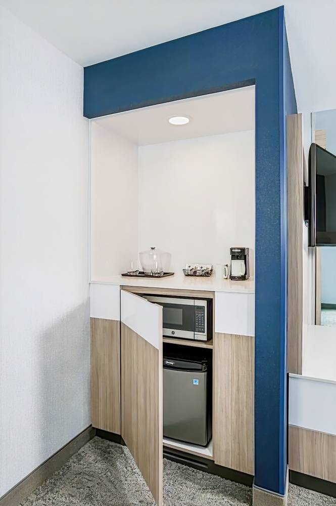 SpringHill Suites St. Paul Downtown