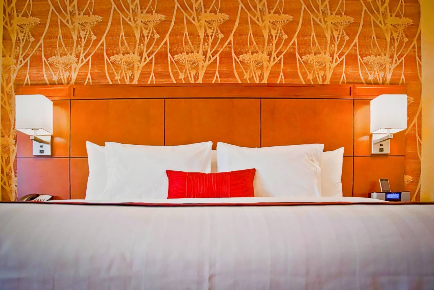 Courtyard Tampa Oldsmar, Oldsmar hotel during the day