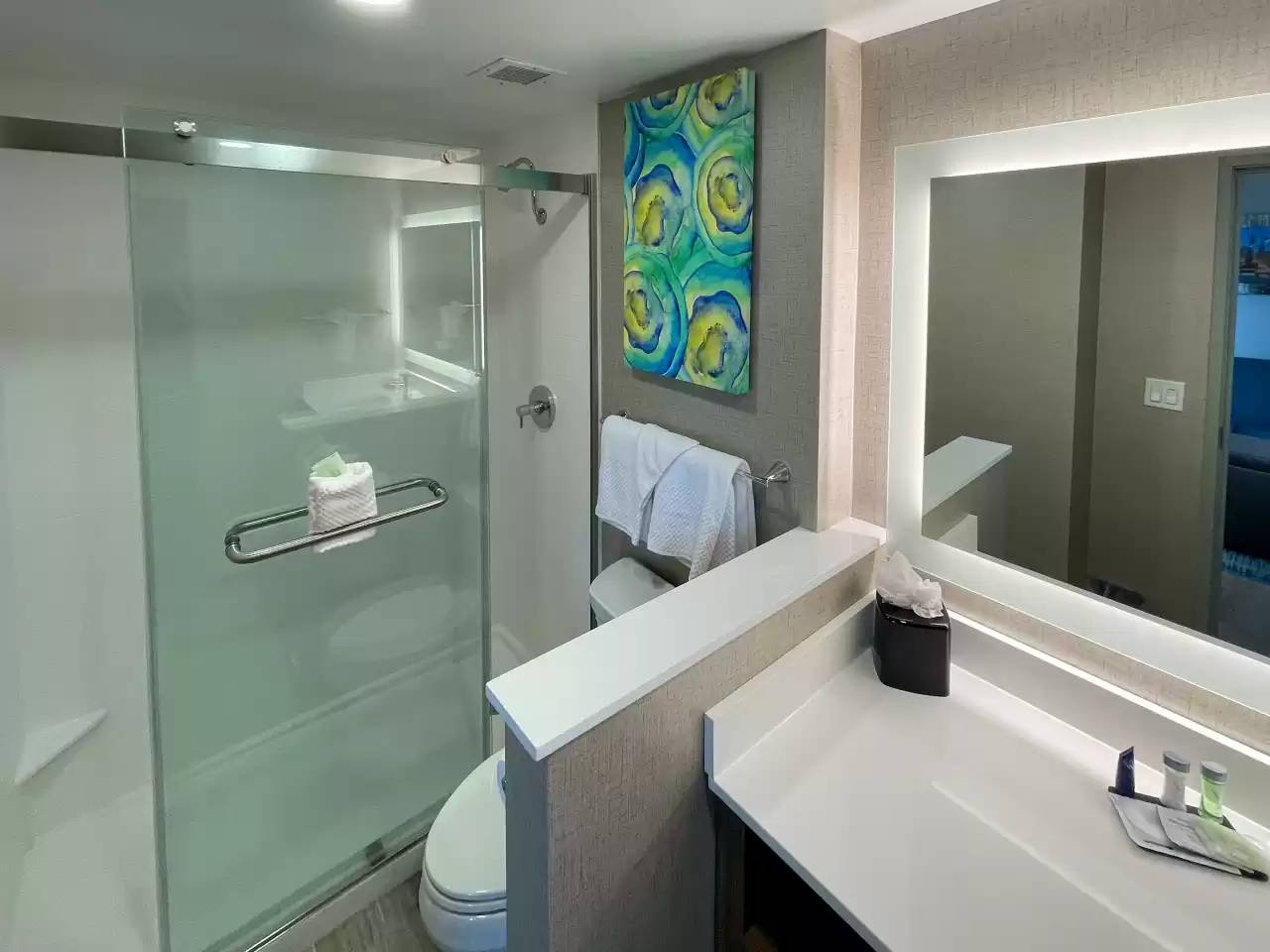 Mainstay Suites Oakbrook Terrace - Chicago