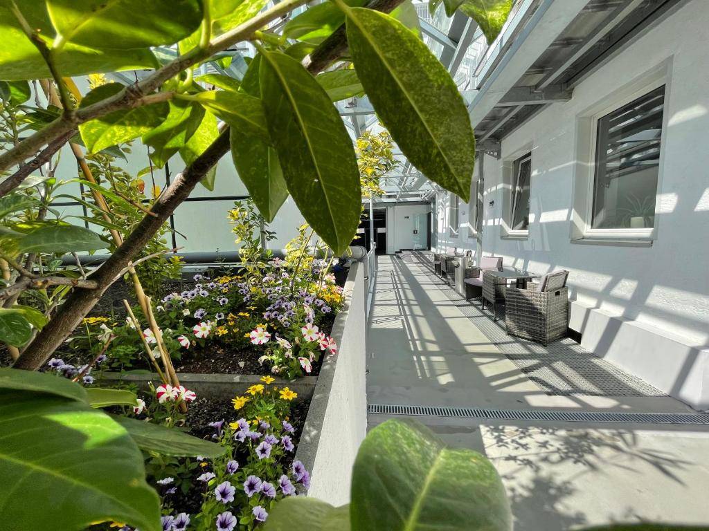 City Lounge Hotel