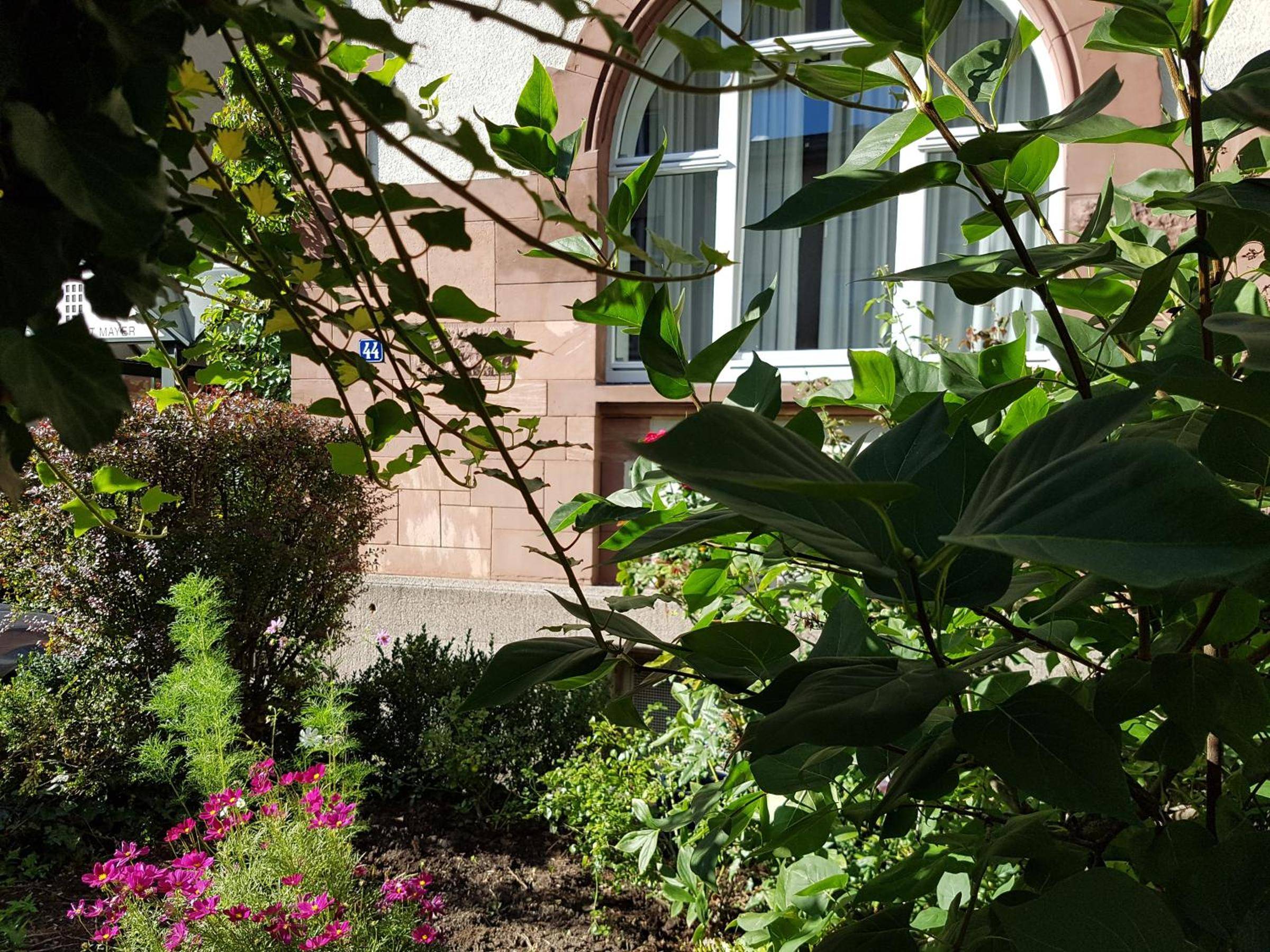Hotel Robert Mayer