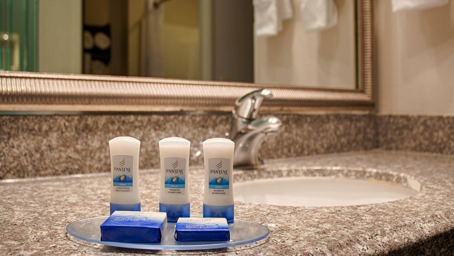 Best Western Plus O'Hare International South Hotel