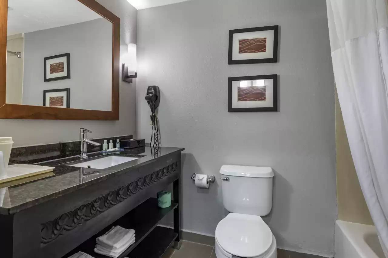 Quality Inn & Suites I-35 E/Walnut Hill