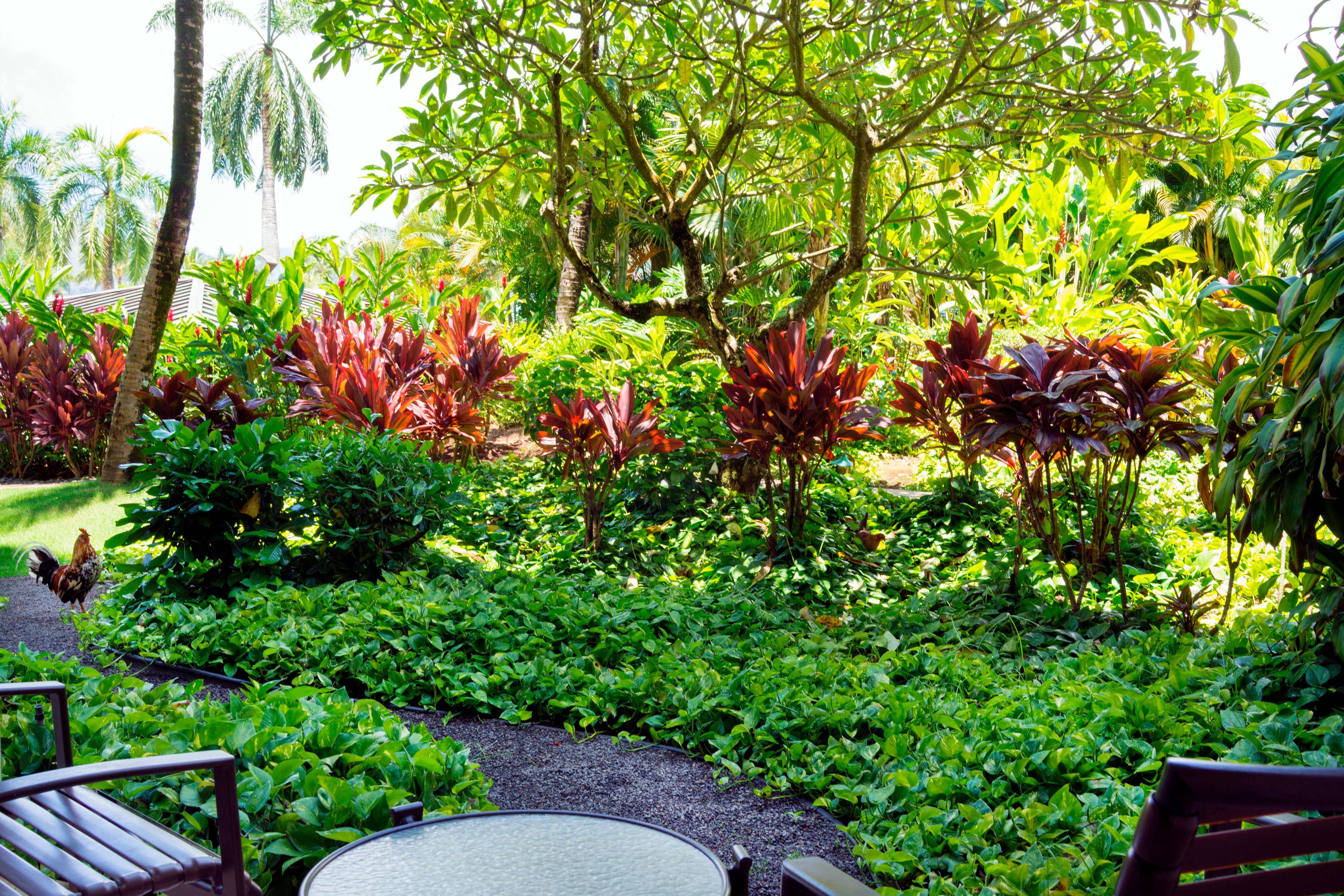 Royal Sonesta Kaua'i Resort Lihue
