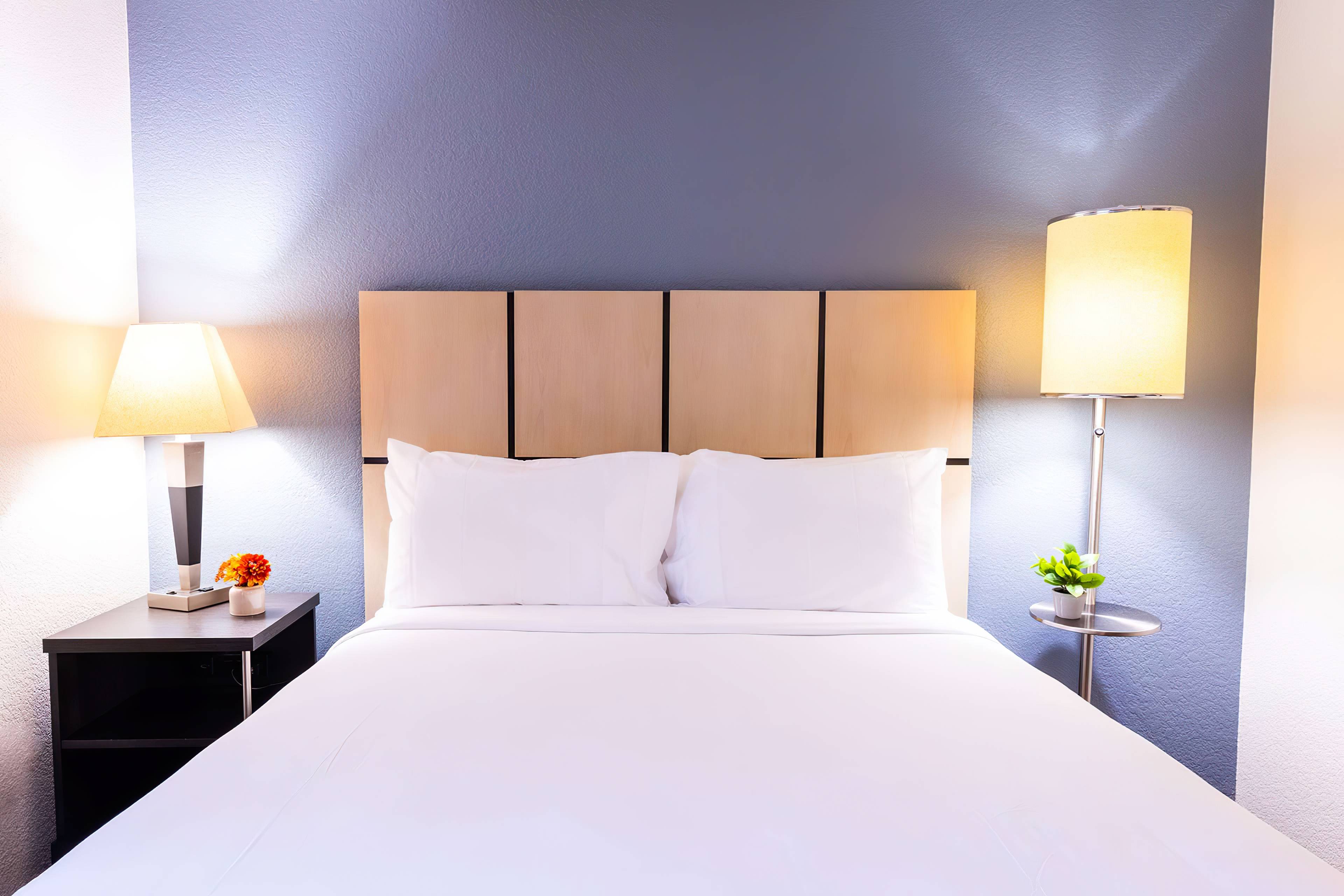 Sonesta Simply Suites Jacksonville