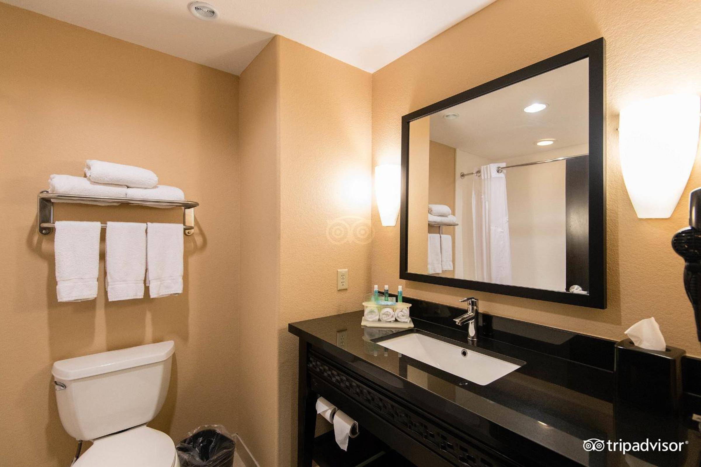 Comfort Inn & Suites Dallas Medical-Market Center