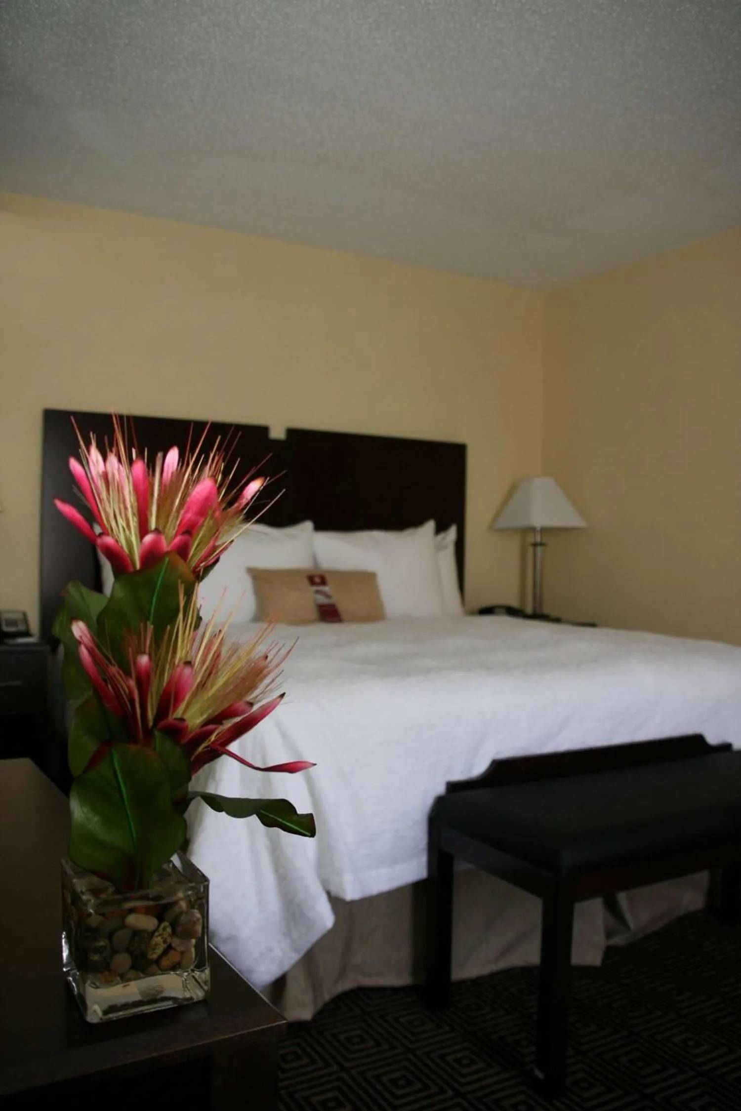Hampton Inn & Suites by Hilton Orlando John Young Parkway/S. Park