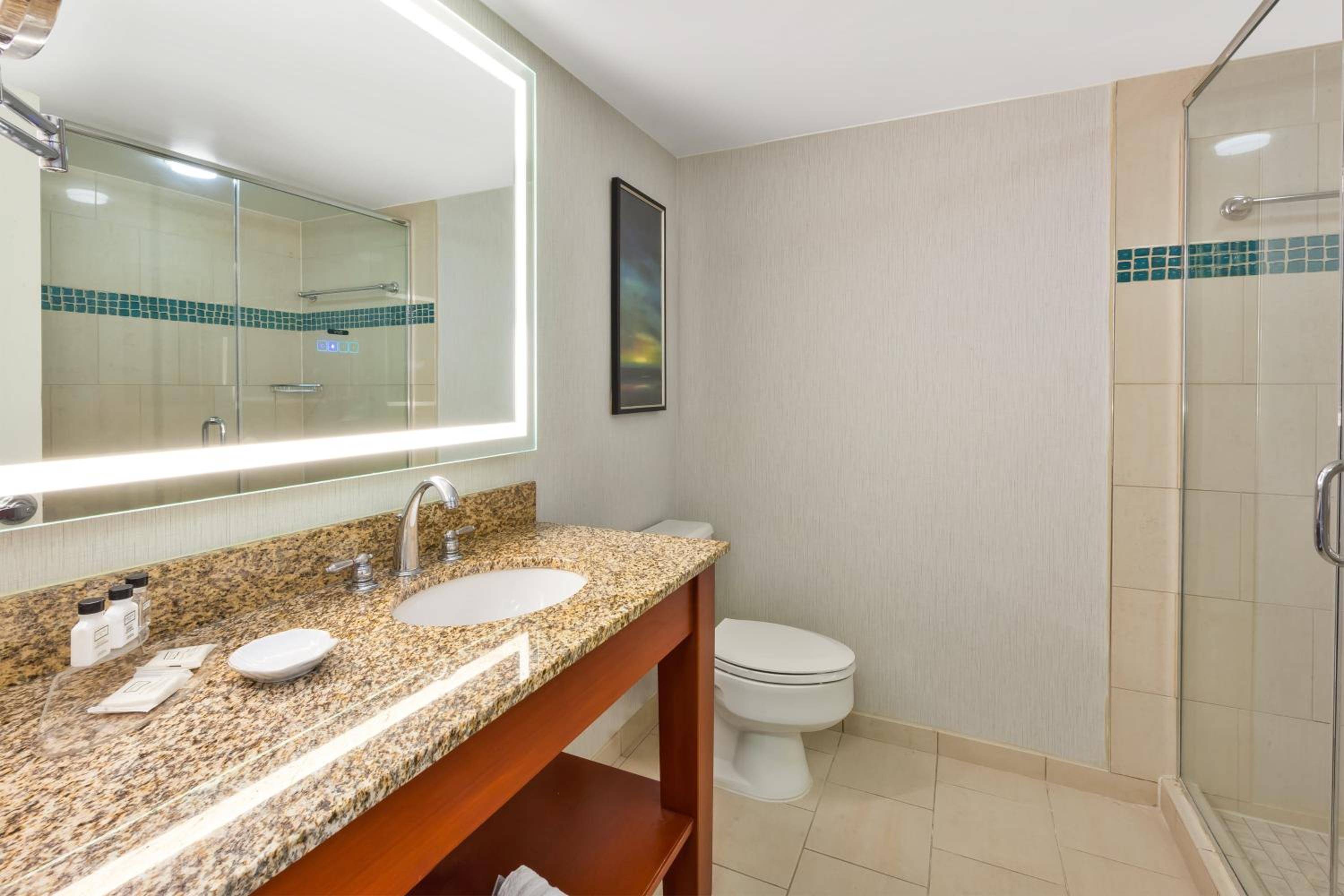 Crowne Plaza Dulles Airport by IHG
