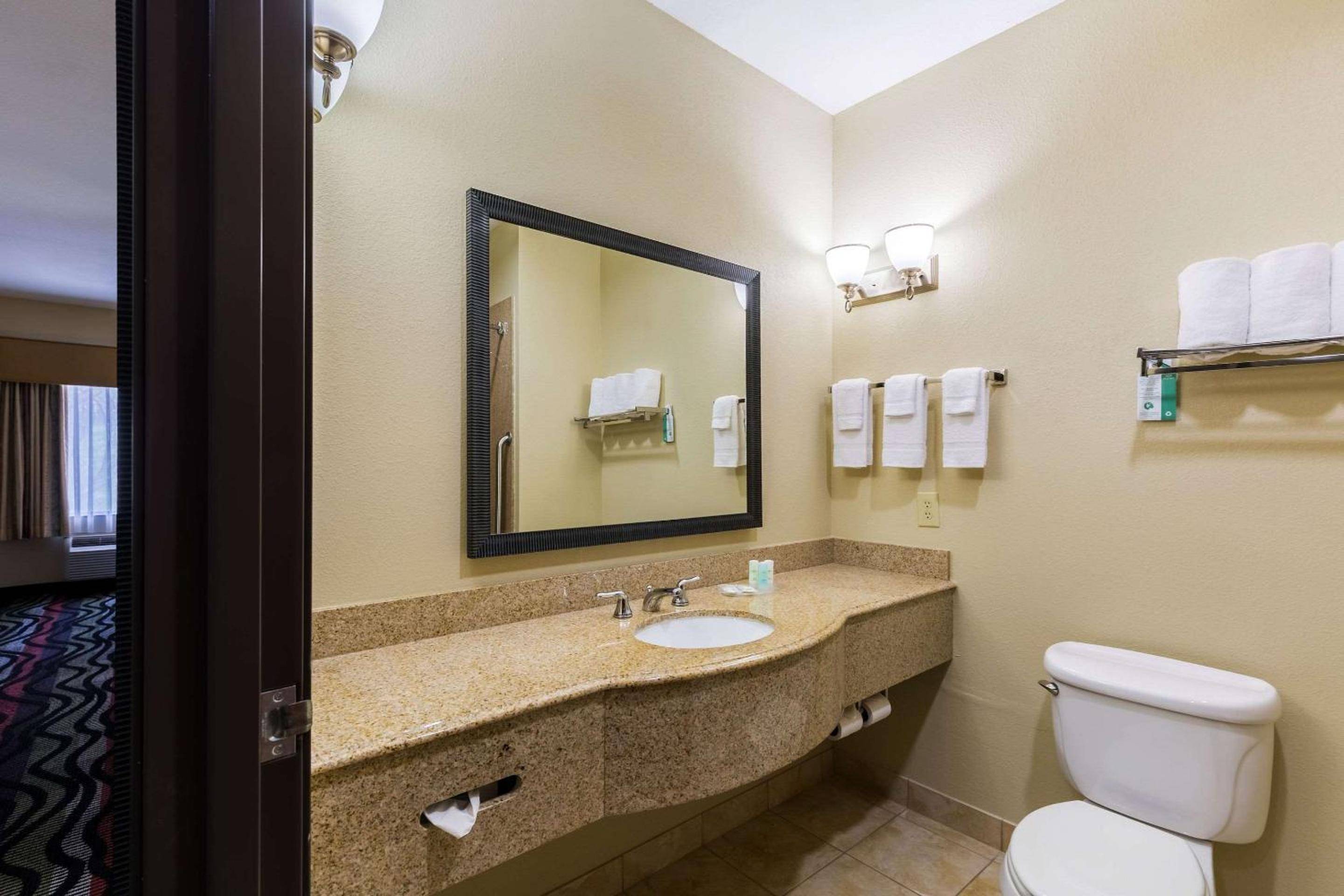 Comfort Suites Beaumont I - 10