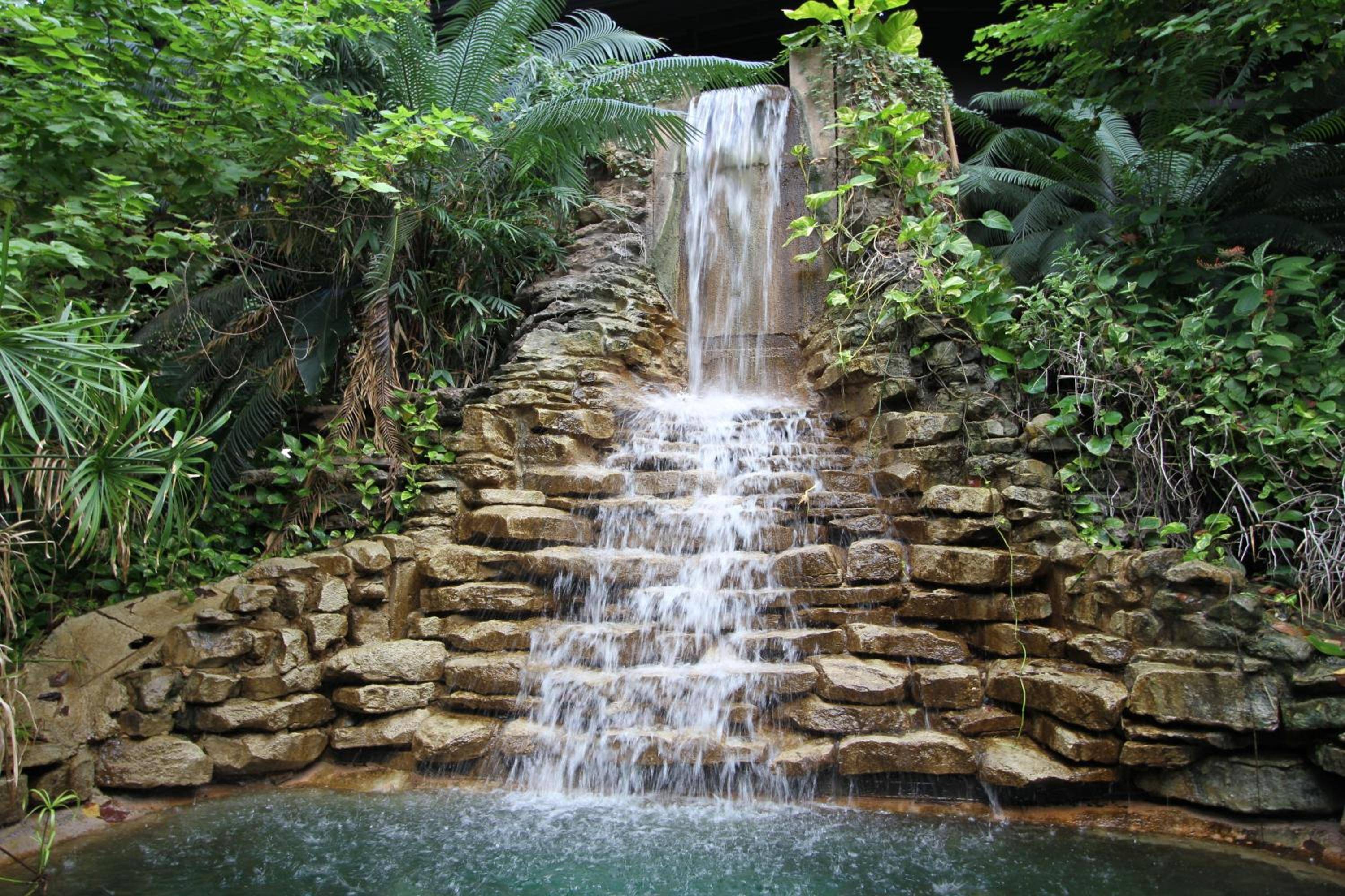 Family Garden Inn & Suites