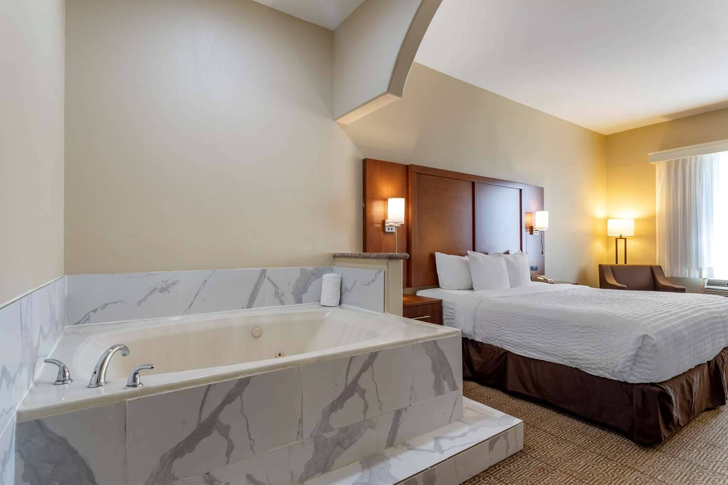 Comfort Suites near Texas Medical Center - NRG Stadium