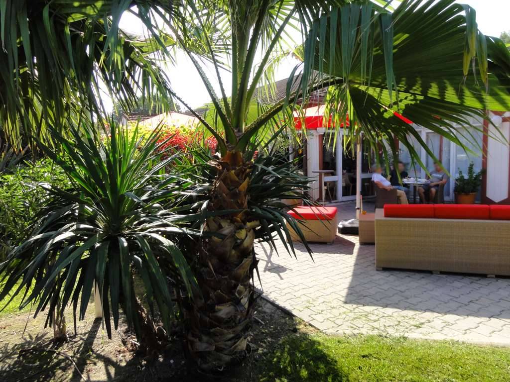 Kyriad Nîmes Ouest