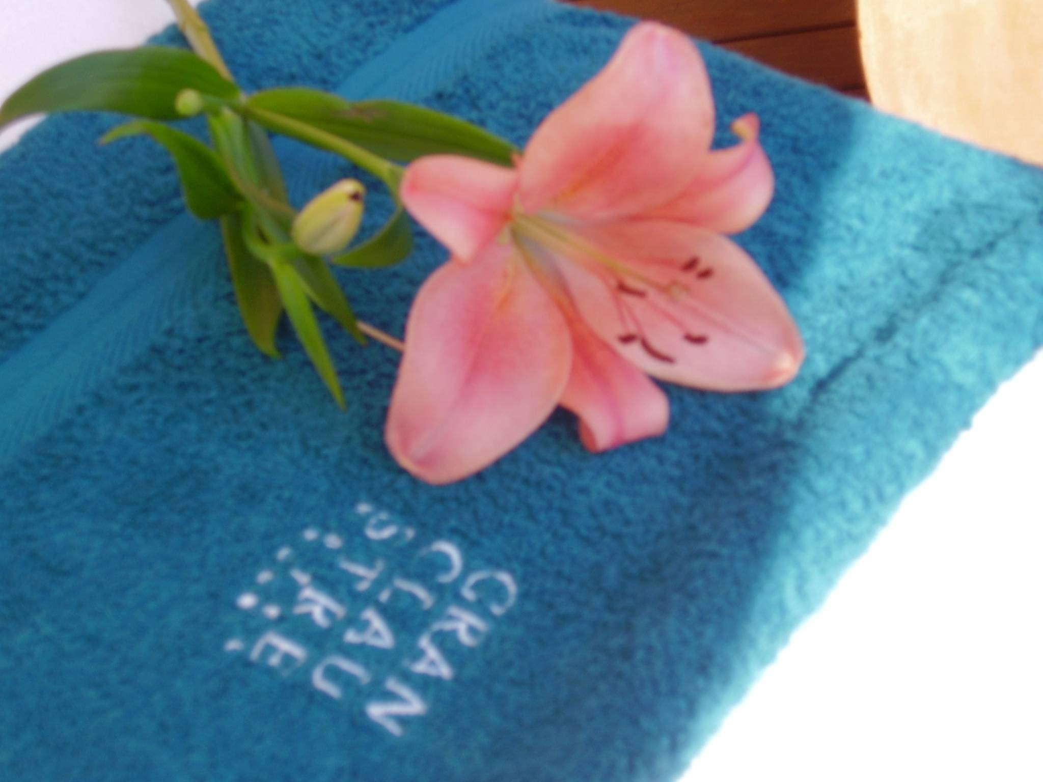 Hotel Gran Claustre