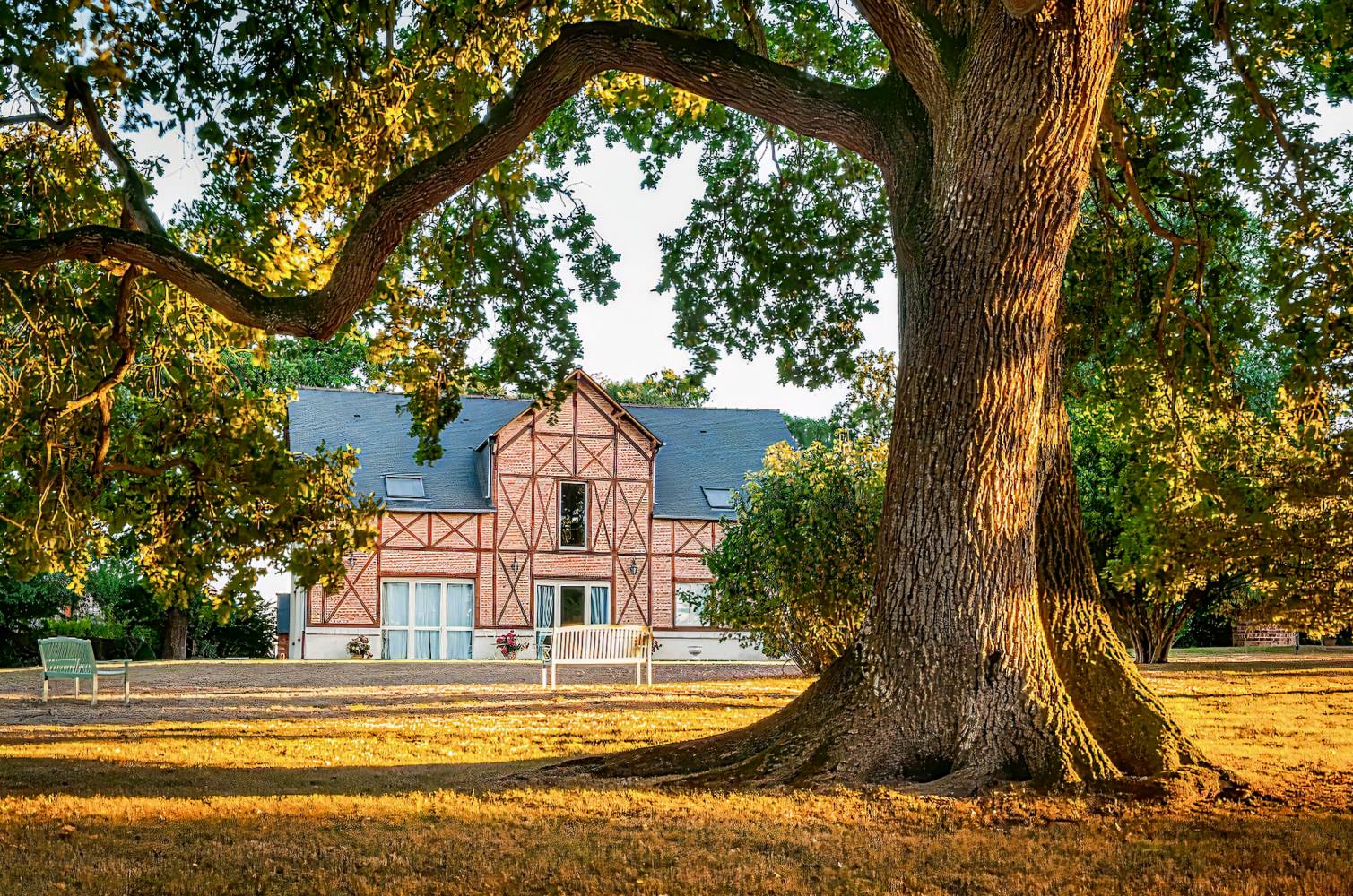 Château d'Apigné